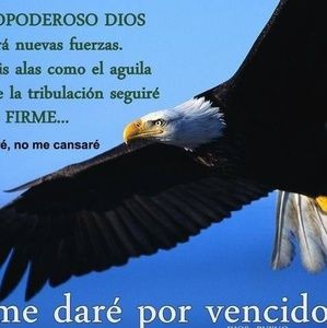 Meet your Posher, Ever